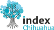 Logo Index